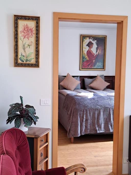 אקורירי Spacious Apartment -Top Location מראה חיצוני תמונה
